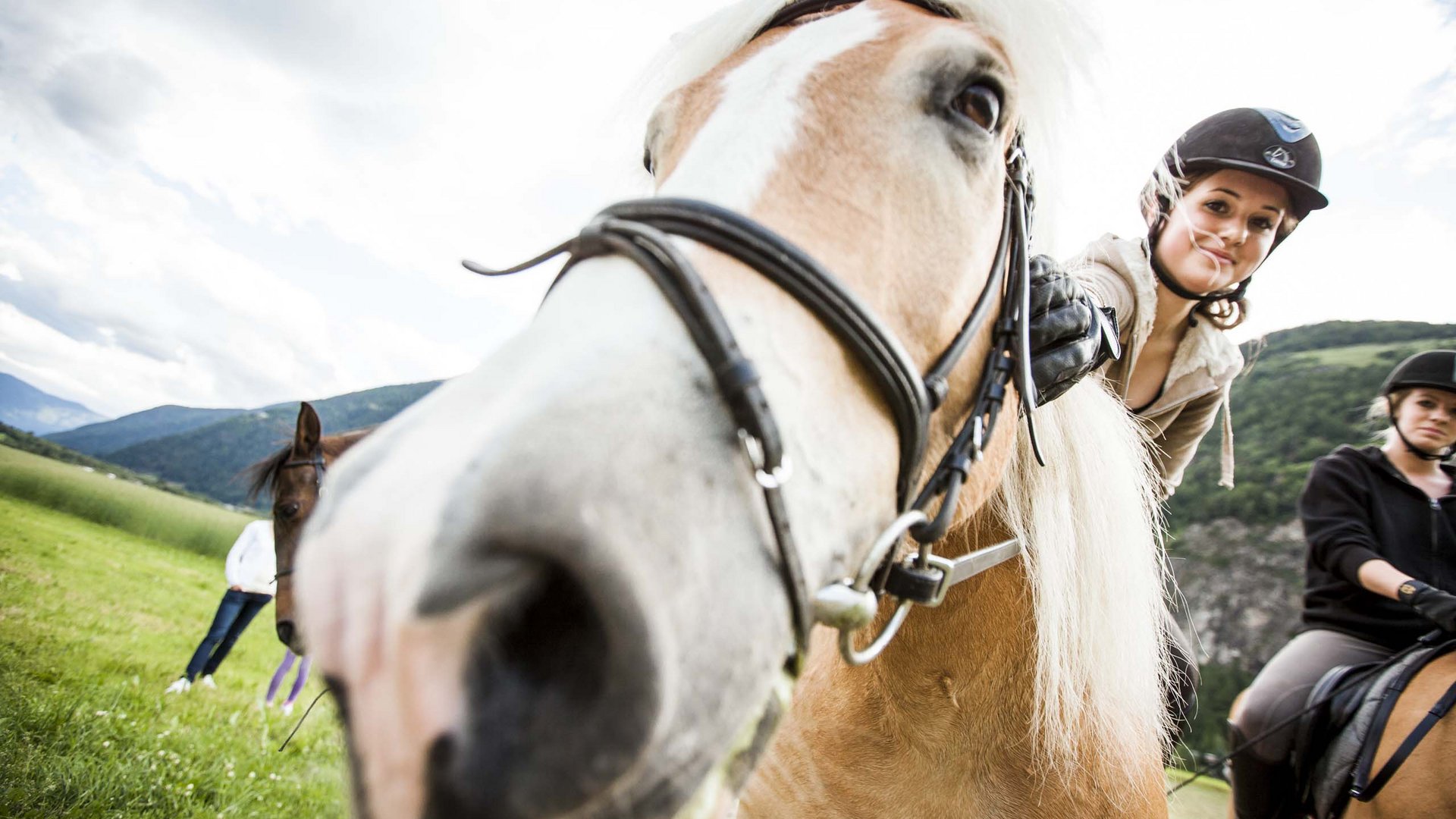Ahrntal entdecken – Reinbachfälle, Almen, Speikboden & Klausberg Ahrntal entdecken – Reinbachfälle, Almen, Speikboden & Klausberg