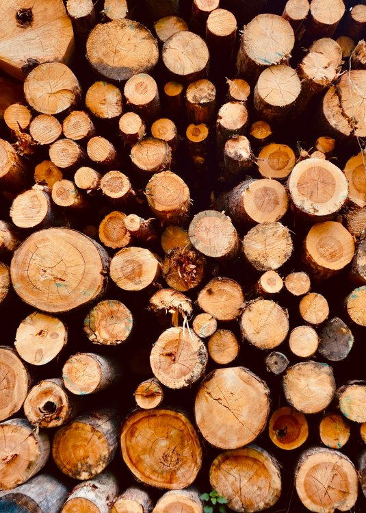 GoGreen - Sustainability in the wellness hotel in South Tyrol GoGreen - Sustainability in the wellness hotel in South Tyrol